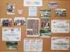 IMG-20260303-WA0015